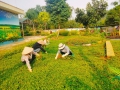 TRƯỜNG MẦM NON ĐỒNG TÂM TỔ CHỨC TỔNG LAO ĐỘNG VỆ SINH, CHỈNH TRANG KHUÔN VIÊN TRƯỚC THỀM NĂM HỌC MỚI.
